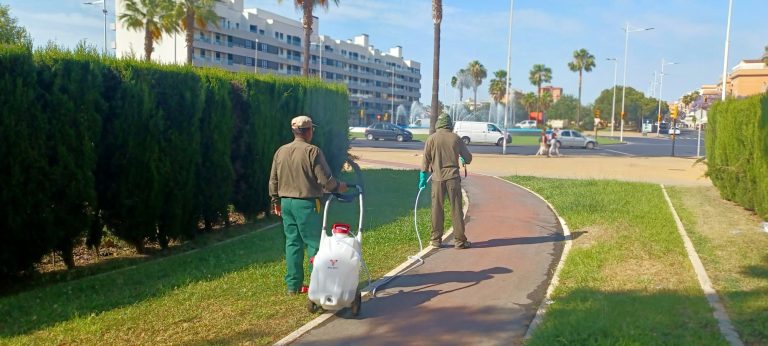 Mosquitos bajo control: Huelva se adelanta a las vacaciones con medidas preventivas