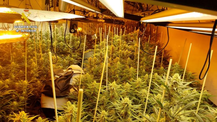 ca5890b4-1d9b-4fae-a666-19ba30b5da5f