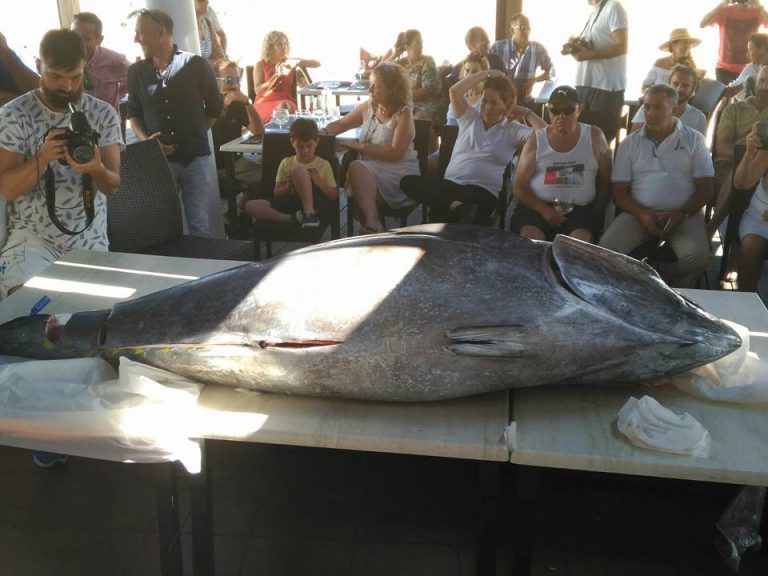 Fango Restaurante & Copas inaugura el verano con una espectacular Jornada del Atún Rojo en El Rompido