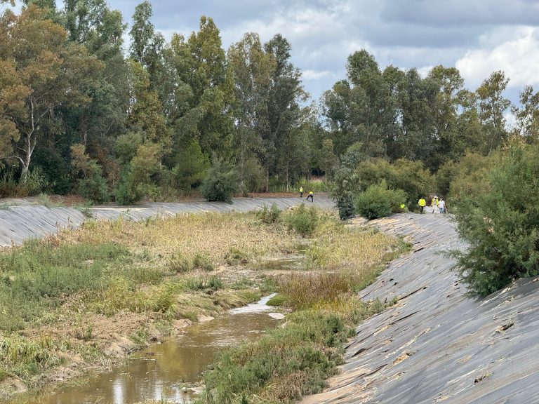Aljaraque planta 12.000 árboles en el arroyo Chorrito del Valle para restaurar su ecosistema fluvial