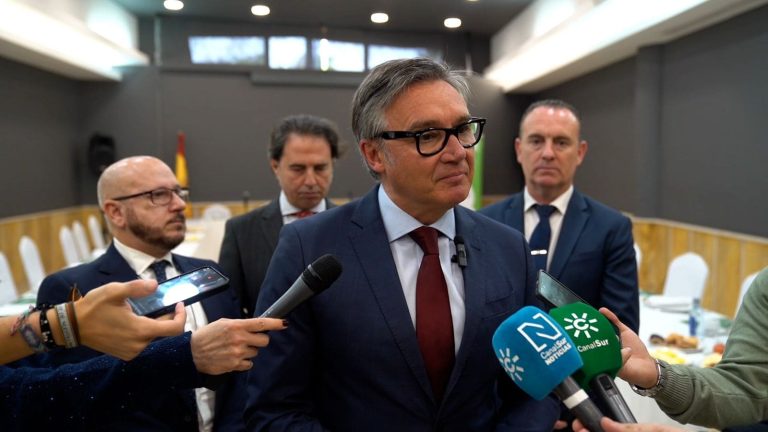 Manuel Gavira denuncia que PP y PSOE suspendieron el homenaje por el rechazo de las familias