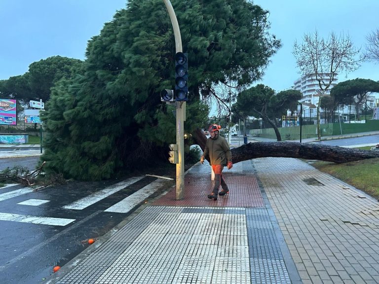 Numerosas incidencias en Punta Umbría tras el paso de la borrasca Kristin