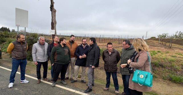 El PSOE exige a la Junta 3.000 euros por hectárea y un plan urgente para salvar el viñedo del Condado de Huelva