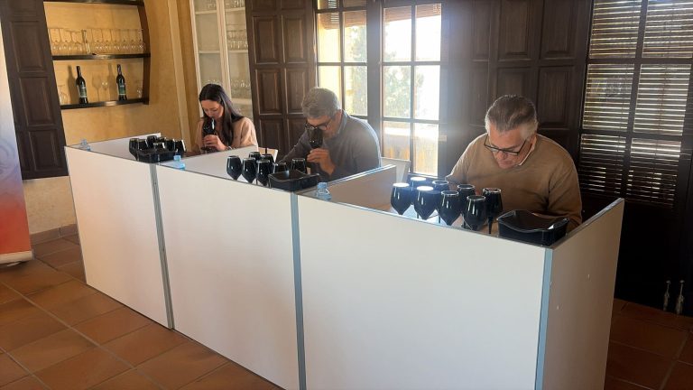 El Condado de Huelva califica la cosecha 2025 como “muy buena” pese al impacto del mildiu