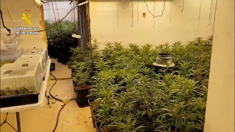 Descubierta una plantación de marihuana en una vivienda de El Rompido tras un aviso por incendio