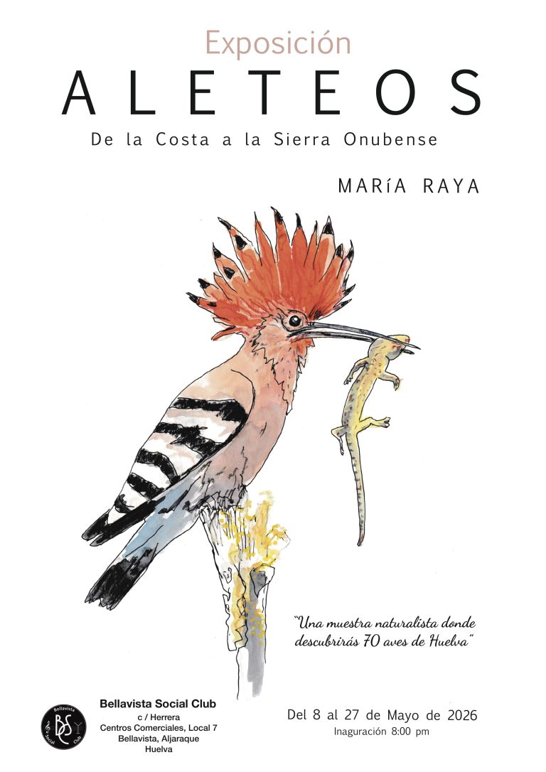 Bellavista acoge ‘Aleteos’, la exposición de María Raya que pone en valor las aves de Huelva
